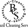 Brazil Cleaning Services