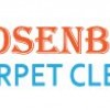 Carpet Cleaner Rosenberg