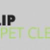 Tulip Carpet Cleaning