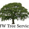 DFW Tree Services