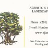 Alberto's Tree Service