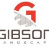 Gibson Landscape