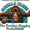 Gorilla Kleen