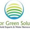 Indoor Green Solutions