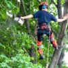 J & R's Tree Service