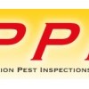 Precision Pest Inspections