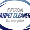 Professional Carpet Cleaners