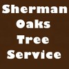 Sherman Oaks Tree Services