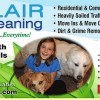 Sinclair Carpet Cleaning