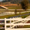 Twa Fence