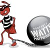 Watts Pest Prevention