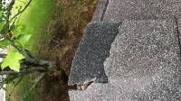 Roof Leak Repair