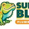 Sunny Bliss Plumbing & Air