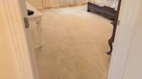 Organic Carpet Cleaning