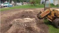 Stump Removal