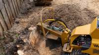 Stump Grinding