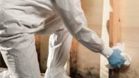 Mold Remediation