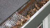 Gutter Cleaning Service