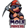 Mole Miners