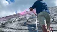 Roof Cleaning