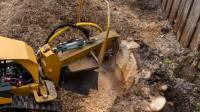 Stump Removal and Stump Grinding Services in CT