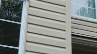 Vinyl Siding Replacement